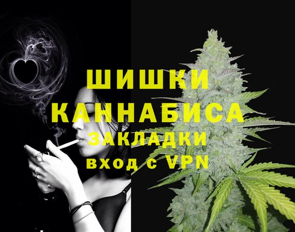 стафф Ростов