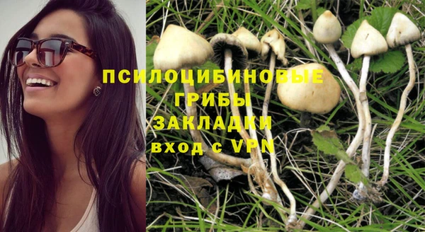не бодяженный Красноперекопск