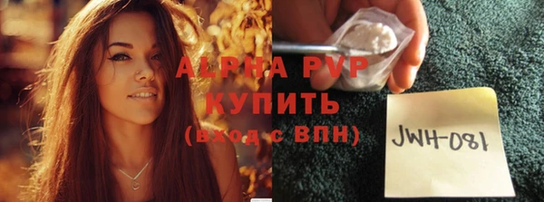 молекула духа Костерёво