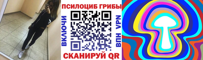 Псилоцибиновые грибы мухоморы сколько стоит Котельниково
